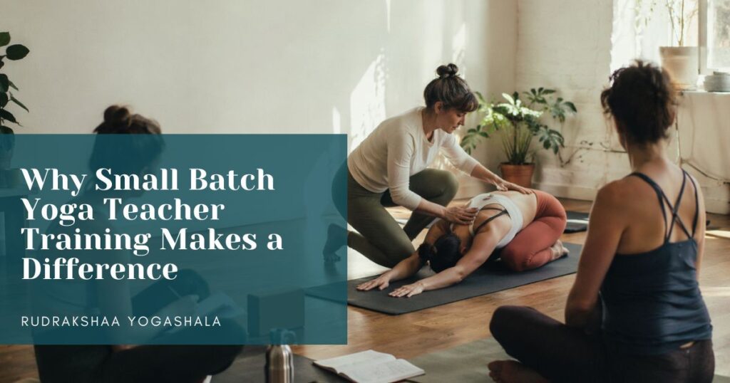 Why Small Batch Yoga Teacher Training Makes a Difference