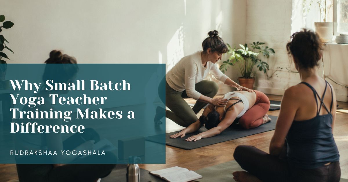 Why Small Batch Yoga Teacher Training Makes a Difference